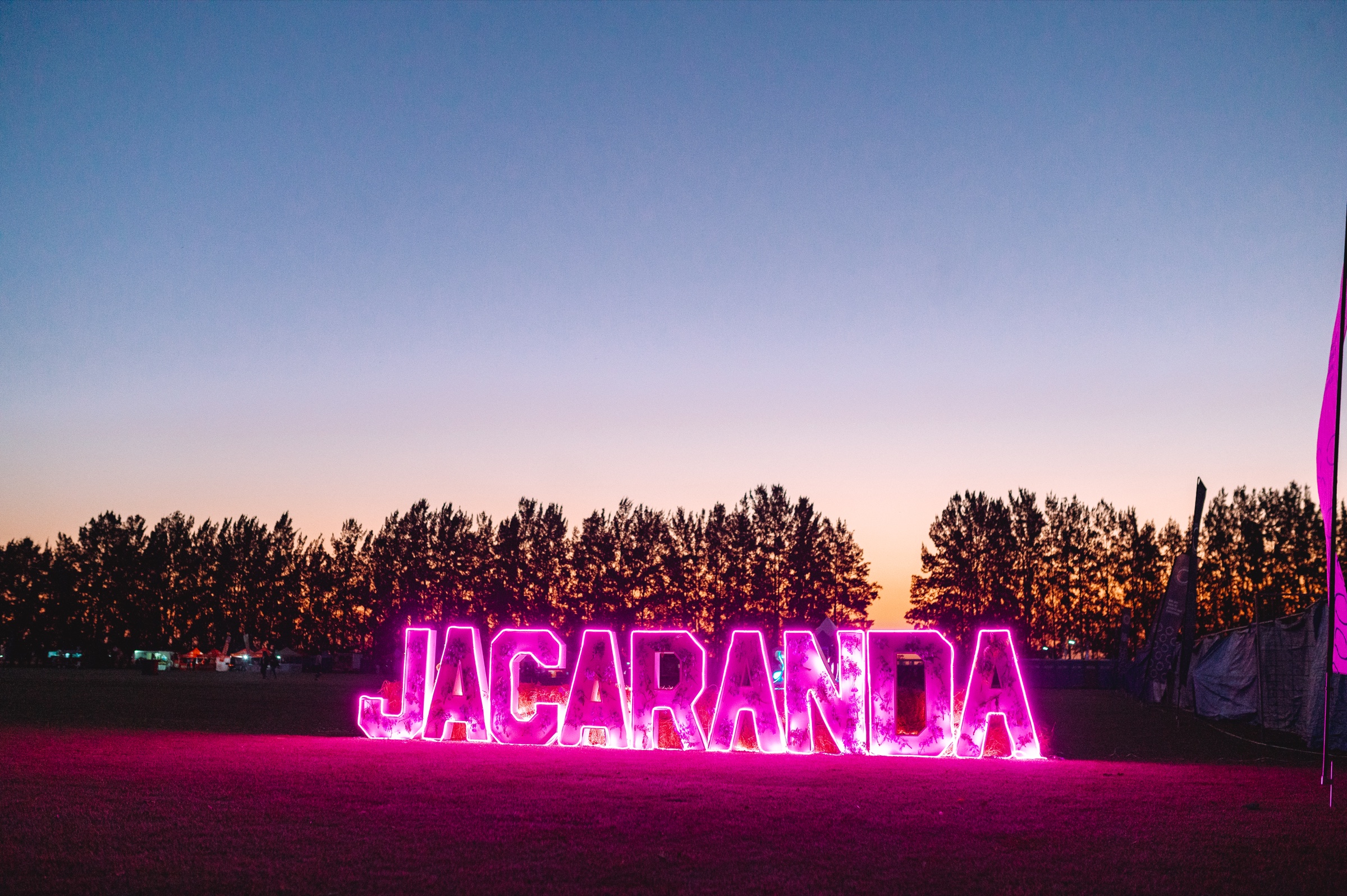 Illuminated Jacaranda festival sign at sunset